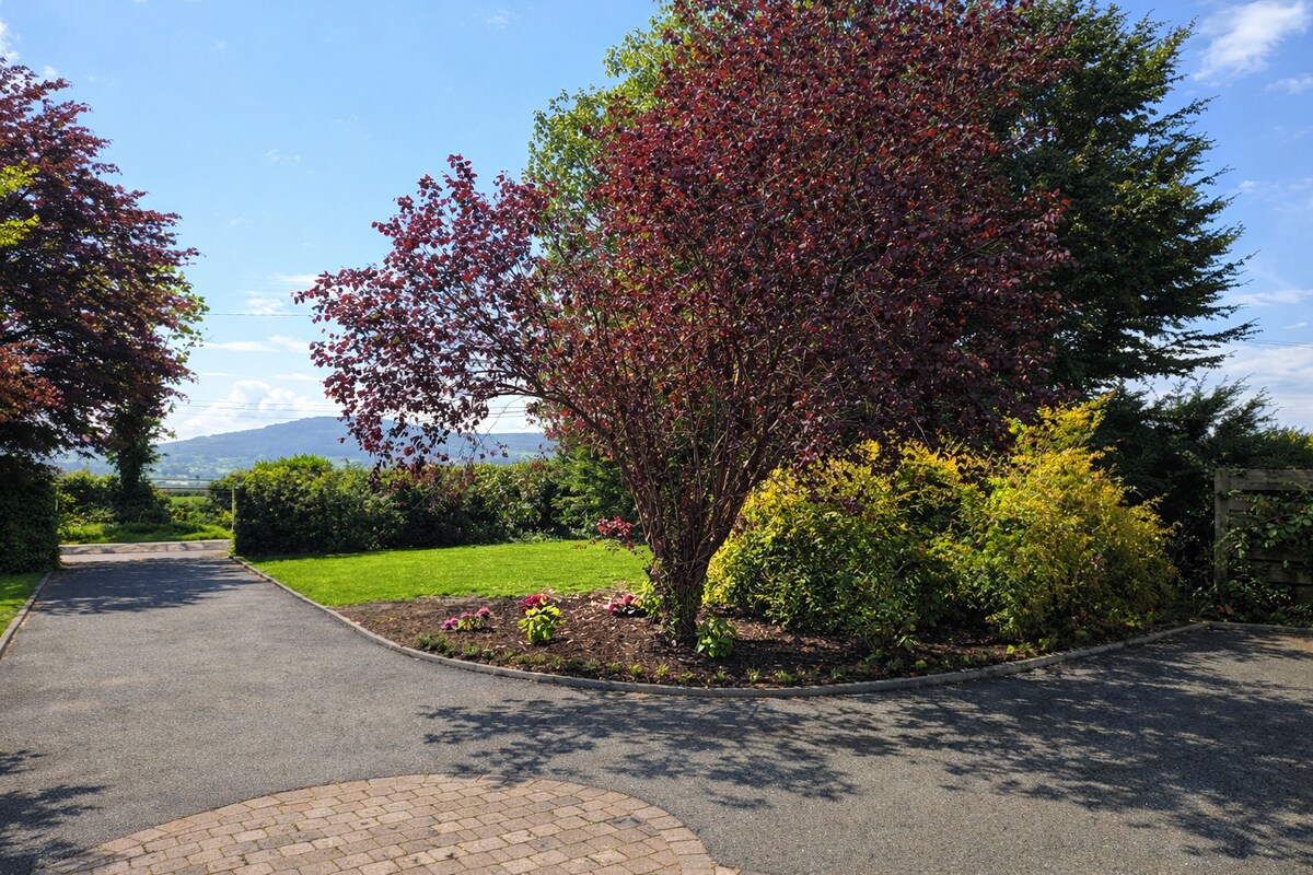 View from front door toward Carrig Rua hill